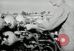 Standbild barrage Balloons North Carolina United States USA, 1941, aus Sekunde 18 historischem Filmmaterial Videoclip 65675069169