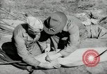 Standbild barrage Balloons North Carolina United States USA, 1941, aus Sekunde 23 historischem Filmmaterial Videoclip 65675069169
