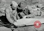 Standbild barrage Balloons North Carolina United States USA, 1941, aus Sekunde 25 historischem Filmmaterial Videoclip 65675069169