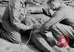 Standbild barrage Balloons North Carolina United States USA, 1941, aus Sekunde 55 historischem Filmmaterial Videoclip 65675069169