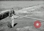 Standbild barrage Balloons North Carolina United States USA, 1941, aus Sekunde 59 historischem Filmmaterial Videoclip 65675069169