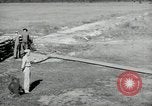 Standbild barrage Balloons North Carolina United States USA, 1941, aus Sekunde 60 historischem Filmmaterial Videoclip 65675069169