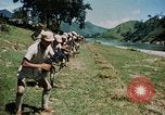 Image of Chinese troops China-Burma-India Theater, 1943, second 33 stock footage video 65675069177