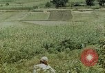 Image les troupes chinoises China-Burma-Inde Theatre, 1943, de la seconde 30 séquences d'archives historiques vidéo 65675069180