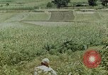 Image les troupes chinoises China-Burma-Inde Theatre, 1943, de la seconde 31 séquences d'archives historiques vidéo 65675069180