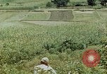 Image les troupes chinoises China-Burma-Inde Theatre, 1943, de la seconde 33 séquences d'archives historiques vidéo 65675069180