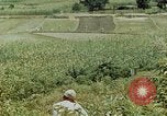 Image les troupes chinoises China-Burma-Inde Theatre, 1943, de la seconde 37 séquences d'archives historiques vidéo 65675069180