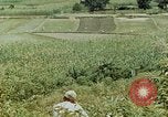 Image les troupes chinoises China-Burma-Inde Theatre, 1943, de la seconde 38 séquences d'archives historiques vidéo 65675069180