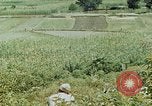 Image les troupes chinoises China-Burma-Inde Theatre, 1943, de la seconde 49 séquences d'archives historiques vidéo 65675069180