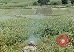 Image les troupes chinoises China-Burma-Inde Theatre, 1943, de la seconde 50 séquences d'archives historiques vidéo 65675069180
