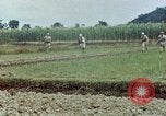 Image les troupes chinoises China-Burma-Inde Theatre, 1943, de la seconde 59 séquences d'archives historiques vidéo 65675069180