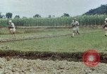 Image les troupes chinoises China-Burma-Inde Theatre, 1943, de la seconde 61 séquences d'archives historiques vidéo 65675069180
