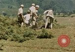 Standbild chinesische Truppen China-Burma-Indien Theater, 1943, aus Sekunde 34 historischem Filmmaterial Videoclip 65675069181