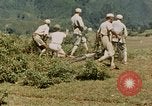 Standbild chinesische Truppen China-Burma-Indien Theater, 1943, aus Sekunde 35 historischem Filmmaterial Videoclip 65675069181