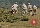 Standbild chinesische Truppen China-Burma-Indien Theater, 1943, aus Sekunde 40 historischem Filmmaterial Videoclip 65675069181