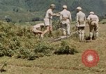 Standbild chinesische Truppen China-Burma-Indien Theater, 1943, aus Sekunde 41 historischem Filmmaterial Videoclip 65675069181
