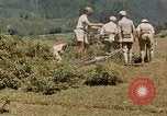 Standbild chinesische Truppen China-Burma-Indien Theater, 1943, aus Sekunde 42 historischem Filmmaterial Videoclip 65675069181
