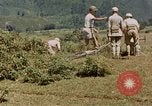 Standbild chinesische Truppen China-Burma-Indien Theater, 1943, aus Sekunde 43 historischem Filmmaterial Videoclip 65675069181
