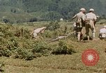 Standbild chinesische Truppen China-Burma-Indien Theater, 1943, aus Sekunde 44 historischem Filmmaterial Videoclip 65675069181