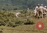 Standbild chinesische Truppen China-Burma-Indien Theater, 1943, aus Sekunde 45 historischem Filmmaterial Videoclip 65675069181