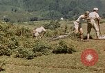 Standbild chinesische Truppen China-Burma-Indien Theater, 1943, aus Sekunde 46 historischem Filmmaterial Videoclip 65675069181
