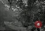 Image of OSS soldier agent recruitment and training United States USA, 1942, second 34 stock footage video 65675069183