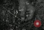 Image of OSS soldier agent recruitment and training United States USA, 1942, second 57 stock footage video 65675069183