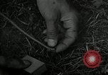 Image of OSS soldier agent recruitment and training United States USA, 1942, second 61 stock footage video 65675069183