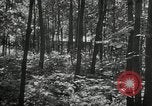 Image of secret training camp of OSS United States USA, 1942, second 29 stock footage video 65675069184
