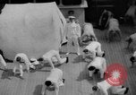 Standbild Navy Personal Pazifik, 1935, aus Sekunde 6 historischem Filmmaterial Videoclip 65675069209