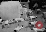 Standbild Navy Personal Pazifik, 1935, aus Sekunde 7 historischem Filmmaterial Videoclip 65675069209