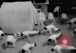 Standbild Navy Personal Pazifik, 1935, aus Sekunde 15 historischem Filmmaterial Videoclip 65675069209