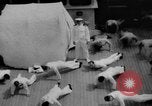 Standbild Navy Personal Pazifik, 1935, aus Sekunde 16 historischem Filmmaterial Videoclip 65675069209