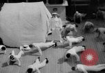 Standbild Navy Personal Pazifik, 1935, aus Sekunde 26 historischem Filmmaterial Videoclip 65675069209