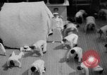Standbild Navy Personal Pazifik, 1935, aus Sekunde 27 historischem Filmmaterial Videoclip 65675069209