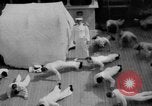 Standbild Navy Personal Pazifik, 1935, aus Sekunde 32 historischem Filmmaterial Videoclip 65675069209