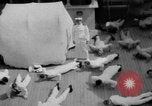 Standbild Navy Personal Pazifik, 1935, aus Sekunde 33 historischem Filmmaterial Videoclip 65675069209