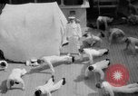 Standbild Navy Personal Pazifik, 1935, aus Sekunde 34 historischem Filmmaterial Videoclip 65675069209