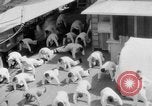 Standbild Navy Personal Pazifik, 1935, aus Sekunde 51 historischem Filmmaterial Videoclip 65675069209