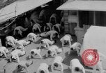 Standbild Navy Personal Pazifik, 1935, aus Sekunde 58 historischem Filmmaterial Videoclip 65675069209