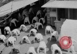 Standbild Navy Personal Pazifik, 1935, aus Sekunde 59 historischem Filmmaterial Videoclip 65675069209