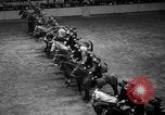 Standbild National Horse Show New York United States USA, 1937, aus Sekunde 22 historischem Filmmaterial Videoclip 65675069214