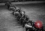 Standbild National Horse Show New York United States USA, 1937, aus Sekunde 24 historischem Filmmaterial Videoclip 65675069214