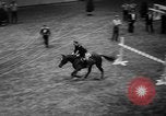 Standbild National Horse Show New York United States USA, 1937, aus Sekunde 30 historischem Filmmaterial Videoclip 65675069214
