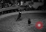Standbild National Horse Show New York United States USA, 1937, aus Sekunde 35 historischem Filmmaterial Videoclip 65675069214