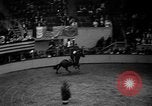 Standbild National Horse Show New York United States USA, 1937, aus Sekunde 36 historischem Filmmaterial Videoclip 65675069214