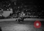 Standbild National Horse Show New York United States USA, 1937, aus Sekunde 37 historischem Filmmaterial Videoclip 65675069214