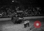 Standbild National Horse Show New York United States USA, 1937, aus Sekunde 40 historischem Filmmaterial Videoclip 65675069214