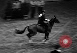 Standbild National Horse Show New York United States USA, 1937, aus Sekunde 52 historischem Filmmaterial Videoclip 65675069214