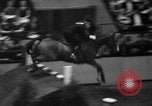 Standbild National Horse Show New York United States USA, 1937, aus Sekunde 59 historischem Filmmaterial Videoclip 65675069214